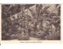LEDNICE = SKLENIK = rok1925?*a==2109