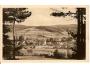 HOVĚZÍ - VSETÍN / FOTO BITTNER/r.1935?*bs159