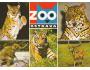 ZOO OSTRAVA=TYGR+RYS+SLON,ATD /rok1955-75*UF1792