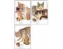 Analogické pohlednice 1999 Kočky, Pofis č.205-7CM22-24 Carte