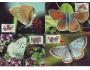 Analogické pohlednice 2002 Motýli, Pofis č.326-9 CM41A-4A4