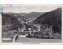 NOVÁ HUT POD NIŽBOREM / BEROUN /rok1925?*kc9615