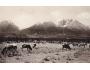 VYSOKÉ TATRY + KRÁVA /rok1948?*kc9983
