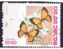 Cabo Verde o fauna - motýl/K