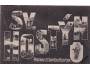 SV.HOSTÝN = KOLÁŽ /rok1919?*AA6795