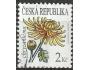 ČR o Pof.0684 Flóra - krása květů - chryzantéma /K