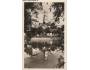ŽĎÁR r. 1940 FOTOTYPIA °HD104B
