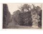KUKS=KUKUS=SOCHY BRAUNA=rok1918*P4055