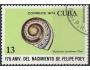Kuba o Mi.1972  fauna  - Hemitrochus /K