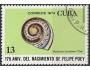 Kuba o Mi.1972 fauna - Hemitrochus /K