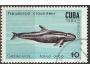 Kuba o MI.2832 Fauna - kosatka /val