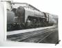 Fotografie černobílá parní lokomotivy *4251
