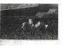 CHOUSTNÍK HRAD=z letadla č.19 / r.1927 / M379-247