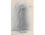 TLAČENÁ-PLASTICKÁ-DLOUHÁ ADRESA !!! / r.1903 / M380-67+68
