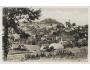 PECKA / r.1950 / M383-296