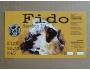 Ostrava - Hoppy Dog / 2038