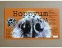 Ostrava - Hoppy Dog / 2049