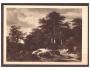 Jacob Ruisdael - Les s potokem v popředí