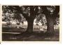 HLINSKO - CHRUDIM /r.1938?*kc299