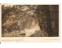 JIRÁSKOVA CESTA / METUJE + PEKLO /r.1926?*kc331