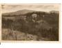 CHATA NA BUMBALCE / BESKYDY / MÍSTEK /r.1940*kc783