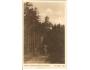 ROZHLEDNA PANCÍŘ / ŠUMAVA /rok1937?*kro43