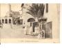 ALŽÍR + MEŠITA / AFRIKA /rok1931?*ca1244