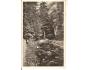 MACOCHA = PUNKVA / FOTO Dr.ABSOLON /rok1945?*ca1252