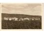 SANATORIUM POD PLEŠÍ / NOVÁ VES /rok1950?*ca1255