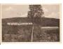 SANATORIUM NA PLEŠI /rok1940?*kro290