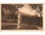 ČESKÁ TŘEBOVÁ / SAD JAVORKA /rok1920?*kro309