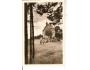 SV.ANTONÍČEK / BLATNICE /rok1940?*ca1356