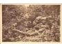 HOŘICE + KRAKONOŠ / KRKONOŠE /rok1922?*kro1080