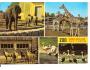 ZOO DVŮR KRÁLOVÉ n.L./rok1965-90*WF1485