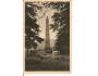 TŘÍSTOLIČNÍK / ŠUMAVA /r1920?*AB1211