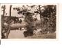 DOLNÍ BRADLO +PENZION VRŠOV / CHRUDIM /rok1946?*bf1577