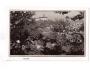 NÁCHOD PANORAMA cca r.1940 BEZ VYDAVATELE °53850R