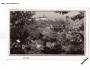 NÁCHOD PANORAMA cca r.1936 BEZ VYDAVATELE °53850RA