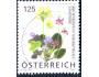 Rakousko 2007 Květiny, Michel č.2633 raz.