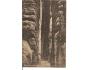 WEKELSDORFER SKÁLY= TEPLICE n.M /r1920?*AA2175