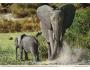 SLON = SAFARI KENYA /rok1955-75*UF1866