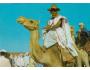 VELBLOUT = ALGERIA /rok1955-75*UF1867