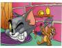 TOM A JERRY 2001 TURNER ENTERTAINMENT Co DITIPO