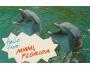 DELFIN=MIAMI FLORIDA USA =rok1955-75?*A5128