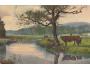 KRÁVA = U NAPAJEDLA /rok1910?*kc5880