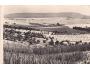 POZDRAV Z CHMELNIC 1965 PRESSFOTO FOTO K. MEVALD **705V