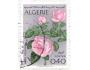 Alžírsko o Mi.0607 Flóra - květiny - čajová růže