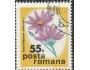Rumunsko o Mi.3287 flora - polní květiny /K