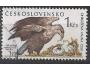 ČS o Pof.2897 Ohrožená fauna - orel mořský /K