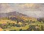 ZVIČINA=mal.ŠULCOVÁ=KČST=rok1925*bf4666